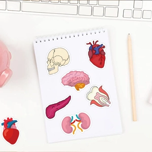 Flat lay of cartoon organ stickers including skull and heart on a desk workspace