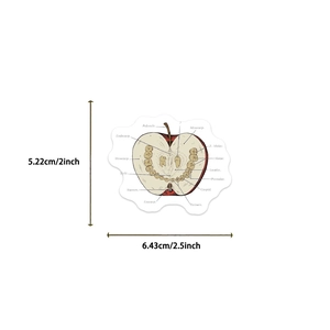 Detail of anatomical apple sticker showing molar teeth and precise 2.5 inch dimensions