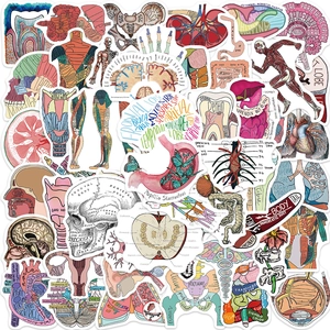 Waterproof PVC Anatomy Stickers Human Body Organ Heart Brain Lungs Skeleton Hand Drawn Decals For Laptop Suitcase DIY
