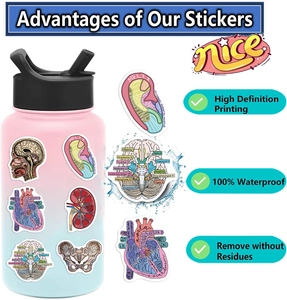 Detail showing waterproof medical anatomy stickers on a water bottle with HD print quality