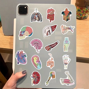 50pcs colorful anatomical organ stickers on tablet case for laptop and guitar decor