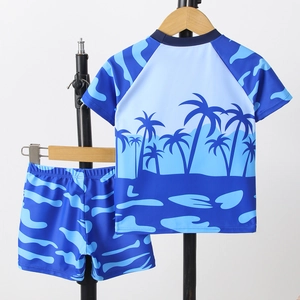 Two-piece boys' quick-dry swimwear set with tropical coconut tree print in blue