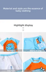 Detail view of boys dinosaur swimsuit featuring raglan sleeves and protective inner lining