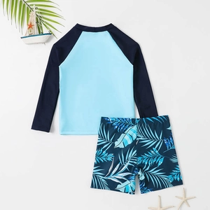 Two-piece boys long sleeve dinosaur swimwear with tropical palm leaf print shorts