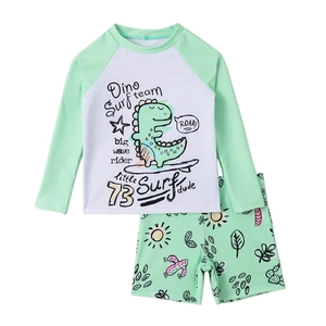Boys two-piece long sleeve rash guard swimsuit set with dinosaur surfing print