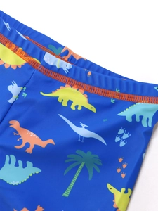 Detail of boys swim trunks with cartoon dinosaur print and orange reinforced stitching