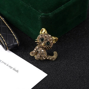 Cat brooch with champagne rhinestones and green eyes on a luxurious velvet box
