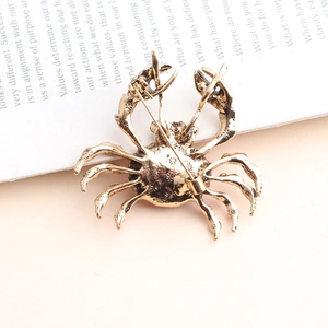Vue arrière d'une broche crabe dorée avec fermoir épingle sur un livre ancien