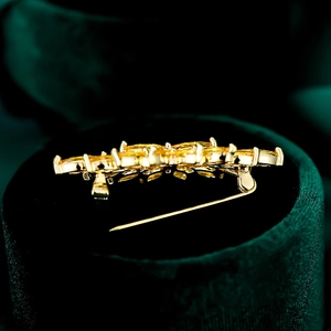 Detailansicht der eleganten goldenen Blumenbrosche mit gelben Steinen auf Samtbox