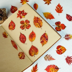 Autocollants réalistes de feuilles d'automne en PET transparent sur un carnet de notes