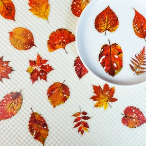 Détail macro de stickers de feuilles d'automne réalistes en PET transparent avec veines de feuilles
