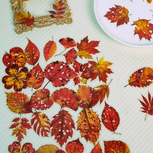 Autocollants Décoratifs En PET Transparent Feuilles d'Automne Réalistes Pour Scrapbooking Journal Bricolage Artisanat Décor