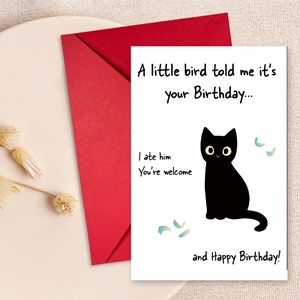 Humorous Birthday Greeting Card And Envelope Black Cat Illustration Minimalist Blank Folded Card For Friends Family