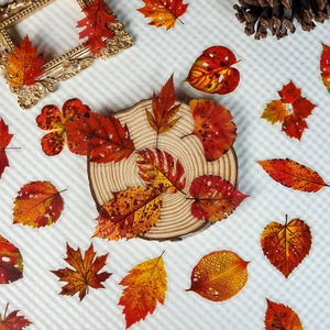 Autocollants réalistes en PET de feuilles d'automne pour journal intime, motif érable