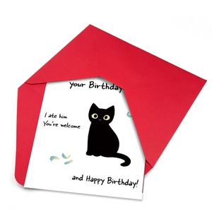 Funny black cat birthday card set with a vibrant red envelope on a white background