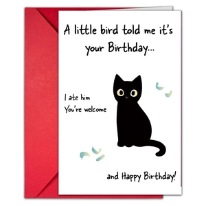 Humorous birthday card set with hand-drawn black cat illustration and red envelope
