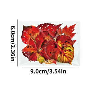 Détail d'autocollants réalistes de feuilles d'automne en PET avec textures et dimensions
