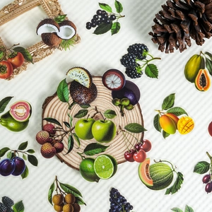Pegatinas realistas de frutas en PET con ilustraciones vintage dibujadas a mano de calidad