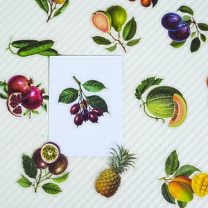 Primer plano detallado de pegatinas realistas de frutas y verduras de PET sobre fondo blanco