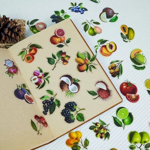 Set de 56 pegatinas realistas de frutas en PET transparente sobre libreta vintage