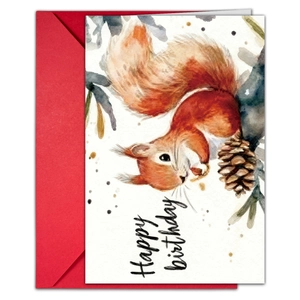 Set di biglietti d'auguri acquerello con scoiattolo e busta rossa coordinata