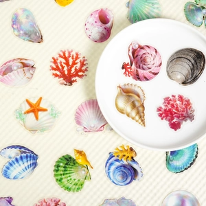Détails de stickers PET transparents de coquillages aux reflets nacrés pour le scrapbooking