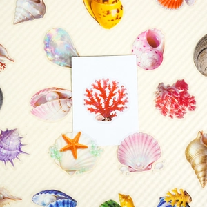 Détail d'autocollants PET colorés thème océan avec corail, étoile de mer et coquillages