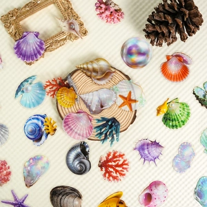 56 Autocollants PET de coquillages marins colorés avec effets holographiques