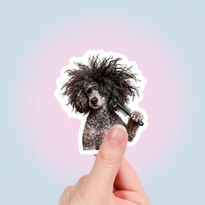 Funny poodle dog sticker with messy hair and comb shown in a hand-held detail shot