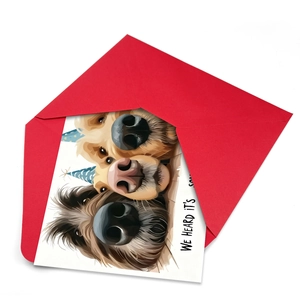 Funny dog birthday card with three dogs in party hats and a vibrant red envelope