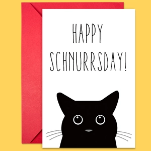 Detail of cute cat birthday card with 'HAPPY SCHNURRSDAY' text and a red envelope set