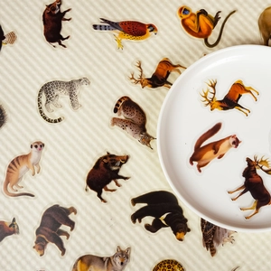 56 realistic forest animal stickers made of transparent PET on a textured background