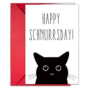 Cute cat birthday card set with happy schnurrsday text and red envelope for gifts