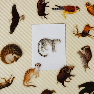 Detailed spread of realistic forest animal stickers including snow leopard and lynx