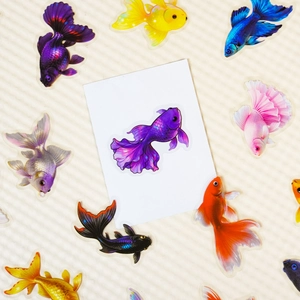 Macro detail of colorful transparent PET goldfish stickers with intricate fin textures