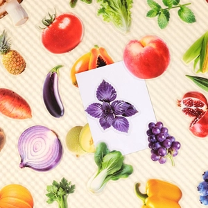56Pcs realistic fruit and vegetable PET stickers for children educational decoration