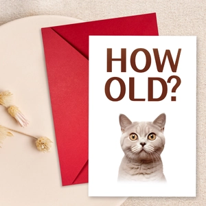 Dettaglio macro del biglietto di compleanno con gatto e vivace busta rossa regalo