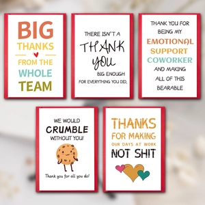 Set of 5 minimalist coworker birthday and thank you cards with red borders and envelopes