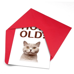 Divertente biglietto d'auguri gatto con testo 'HOW OLD?' e busta rossa