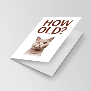 Dettaglio di un divertente biglietto di auguri con gatto sorpreso e testo How Old