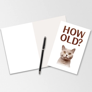 Vista piatta di un divertente biglietto di auguri con gatto British Shorthair e testo
