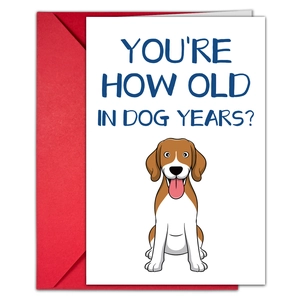 Dettaglio del biglietto d'auguri con beagle, busta rossa e testo umoristico in inglese