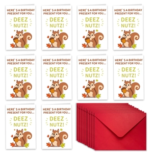 Set di 10 divertenti biglietti d'auguri con scoiattolo e buste rosse, vista dettaglio