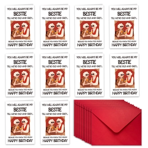 Funny bestie birthday card set with 10 illustrated cards and matching red envelopes