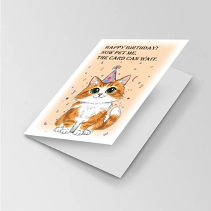 Detail of funny orange cat birthday card with witty text and party hat design
