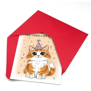 Close-up of cute cartoon cat birthday card with a vibrant red envelope set