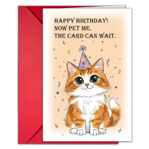 Close-up of a cartoon cat birthday card with a red envelope and confetti details