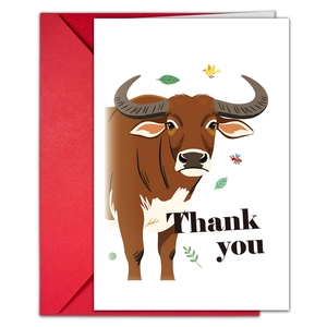 Close-up of thank you card with cute buffalo illustration and a red envelope set