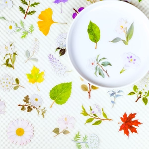 56 pieces of transparent PET flower and leaf stickers for scrapbooking and decoration