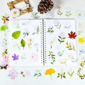 56Pcs transparent PET flower and leaf stickers for DIY journals and scrapbooking